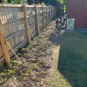 Hedge Removal